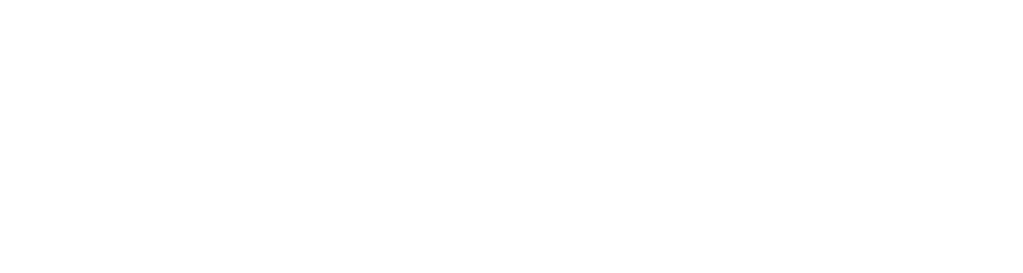 Stellar Group